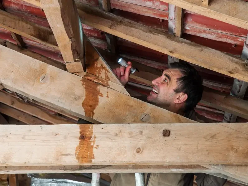 An inspector examines water-stained roof framing inside an attic